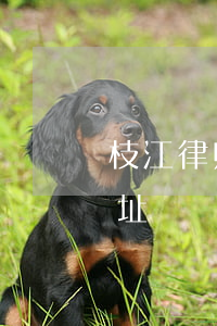 枝江律师事务所有几处(江干区律师事务所地址)