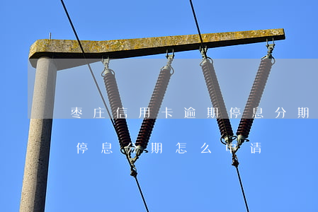 枣庄信用卡逾期停息分期怎么协商-信用卡停息分期怎么申请