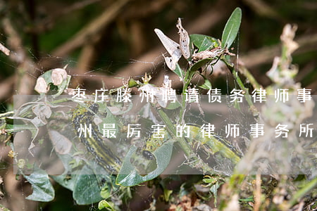 枣庄滕州聘请债务律师事务所排行-山东滕州最厉害的律师事务所