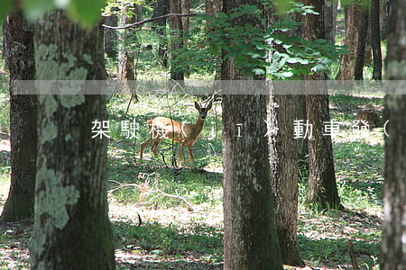 架駛機(jī)動車發(fā)生交通事故