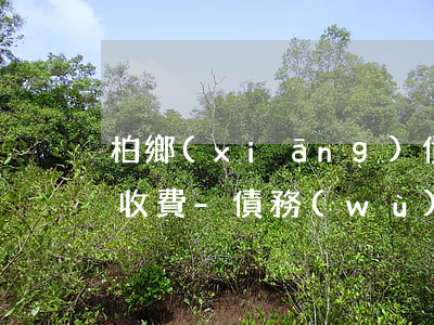 柏鄉(xiāng)債務(wù)糾紛律師收費-債務(wù)糾紛辯護律師收費