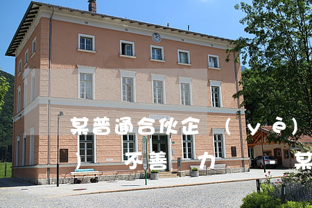某普通合伙企業(yè)由于經(jīng)營不善,無力償還-某普通合伙企業(yè)由于經(jīng)營不善,無力償還債務(wù)
