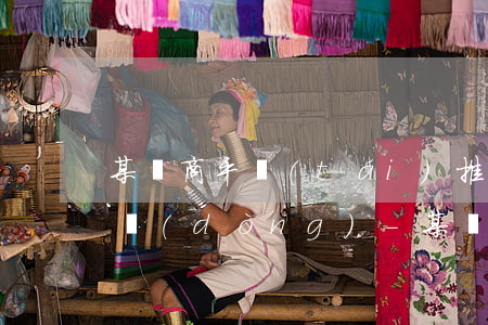 某電商平臺(tái)推出免息分期購物活動(dòng)-某電商平臺(tái)進(jìn)行購物節(jié)大促活動(dòng)