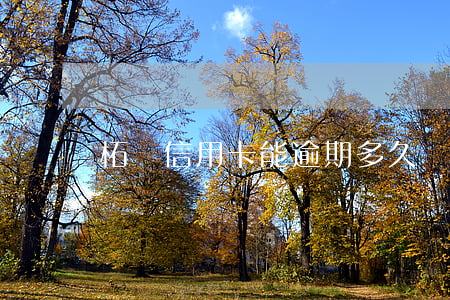 柘榮信用卡能逾期多久