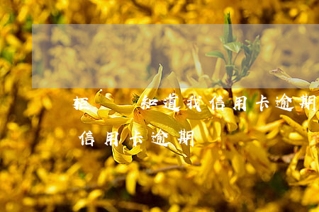 柜臺會知道我信用卡逾期嗎(銀行柜臺能查到信用卡逾期嗎)