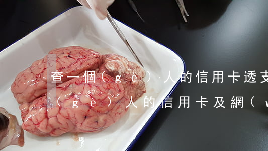 查一個(gè)人的信用卡透支(怎樣查一個(gè)人的信用卡及網(wǎng)貸信息)