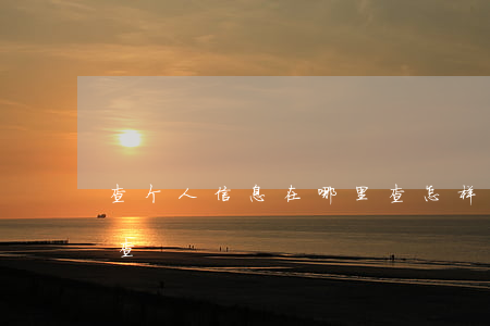 查个人信息在哪里查(怎样查个人信息,去哪里查)