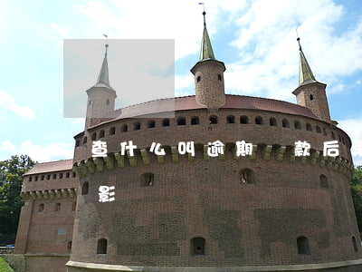查什么叫逾期還款后果(還款逾期以后有什么影響)
