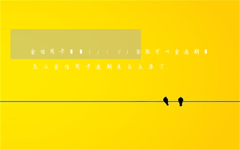 查信用卡凍結(jié)客服可以查逾期嗎(怎么查信用卡逾期是否立案了)