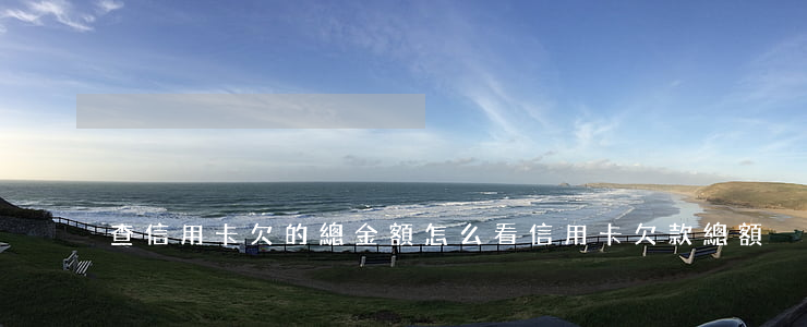 查信用卡欠的總金額(怎么看信用卡欠款總額)
