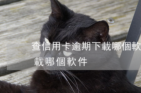 查信用卡逾期下載哪個軟件(查信用卡逾期下載哪個軟件)