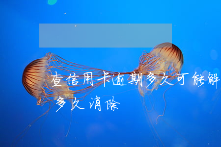 查信用卡逾期多久可能解除(銀行信用卡逾期多久消除)