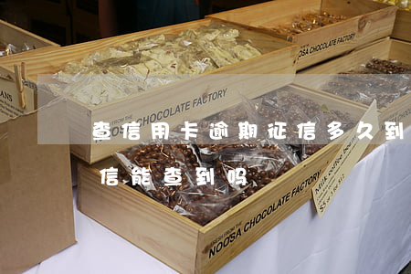 查信用卡逾期征信多久到账(逾期的卡还了征信能查到吗)