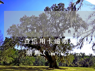 查信用卡逾期無(wú)法還款(查信用卡逾期無(wú)法還款了)