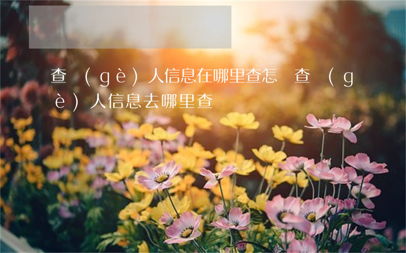 查個(gè)人信息在哪里查(怎樣查個(gè)人信息,去哪里查)