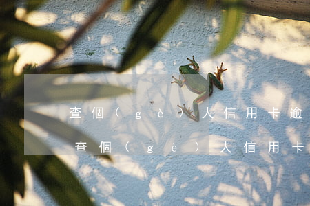 查個(gè)人信用卡逾期狀態(tài)(查個(gè)人信用卡逾期狀態(tài)電話)