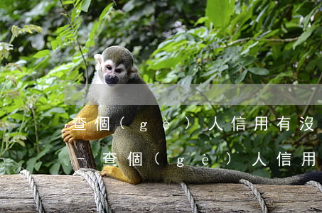 查個(gè)人信用有沒有逾期打什么電話-查個(gè)人信用有沒有逾期打什么電話查詢