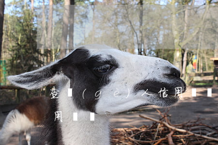 查個(gè)人信用記錄(查個(gè)人信用記錄)