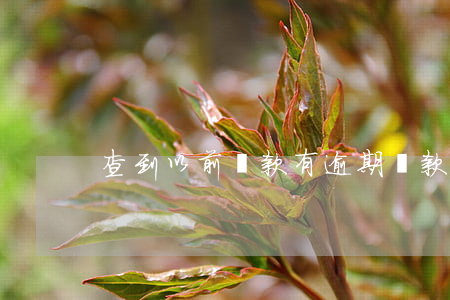 查到以前貸款有逾期(貸款逾期怎么查)