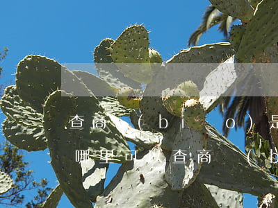 查商標(biāo)是否被注冊(cè)(在哪里可以查商標(biāo)是否被注冊(cè))