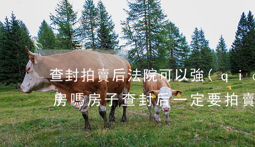 查封拍賣后法院可以強(qiáng)制騰房嗎(房子查封后一定要拍賣嗎)