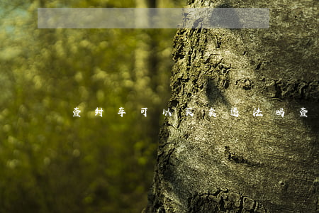 查封车可以买卖违法吗(查封车怎么卖掉)