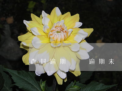 查封逾期檢驗(逾期未檢查封)