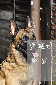 查建设信用卡逾期怎么查(信用卡逾期查询怎么查)