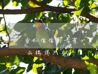 查征信信用卡有一個(gè)逾期可以貸款么（按揭只查一個(gè)銀行的信用卡逾期嗎）
