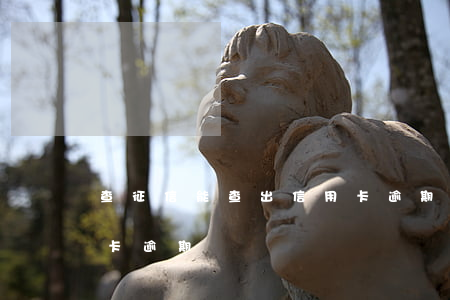 查征信能查出信用卡逾期吗(征信怎么看信用卡逾期)