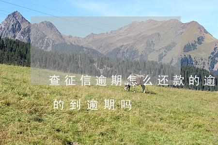 查征信逾期怎么还款的(逾期还款了征信还查的到逾期吗)