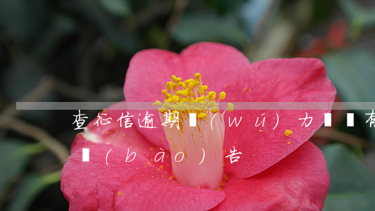 查征信逾期無(wú)力償還(有逾期的征信報(bào)告)