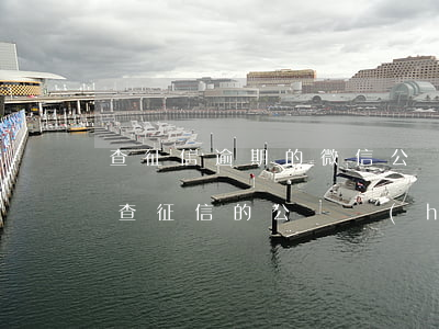 查征信逾期的微信公眾號(hào)(微信上查征信的公眾號(hào))