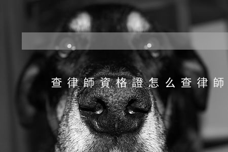 查律師資格證怎么查(律師資格證書查詢)