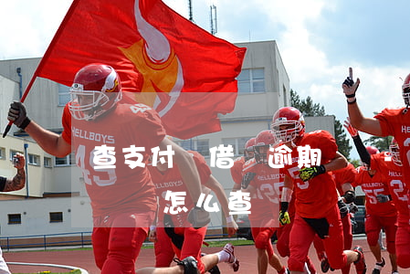 查支付寶借唄逾期記錄-查支付寶借唄逾期記錄怎么查