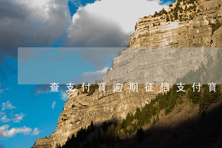 查支付寶逾期征信 支付寶逾期了怎么查征信