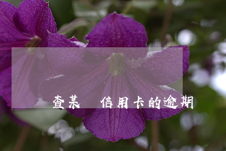 查某個信用卡的逾期記錄