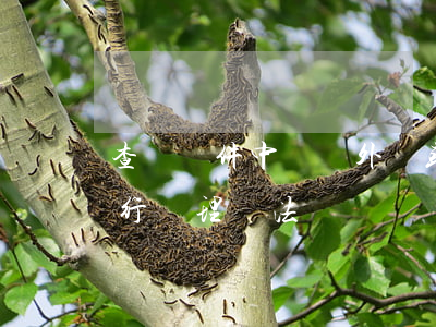 查檢郵件中夾帶外幣或外幣票據(jù)暫行處理辦法