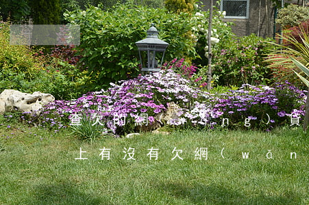 查欠的網(wǎng)貸(查網(wǎng)上有沒有欠網(wǎng)貸)