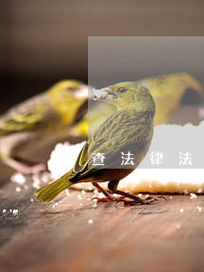 查法律法規(guī)用什么app