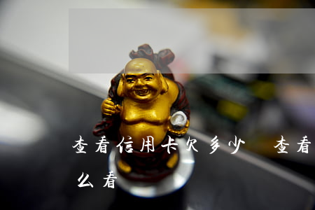 查看信用卡欠多少錢(查看信用卡欠多少錢怎么看)