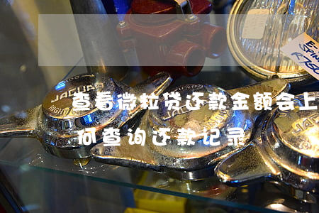 查看微粒贷还款金额会上征信吗-微粒贷如何查询还款记录