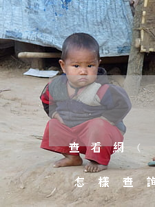 查看網(wǎng)貸和信用卡是否被起訴(怎樣查詢(xún)是否被網(wǎng)貸起訴)