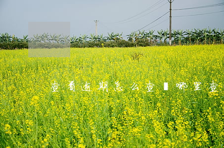 查看逾期怎么查 從哪里查逾期