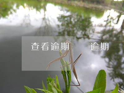 查看逾期記錄（逾期賬單跟蹤提醒）