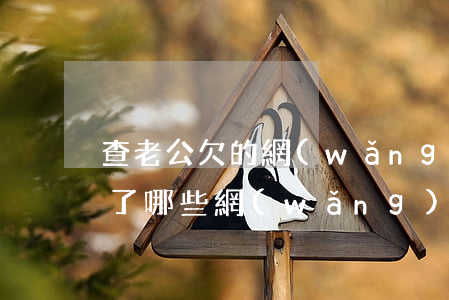 查老公欠的網(wǎng)貸(怎么查老公借了哪些網(wǎng)貸)