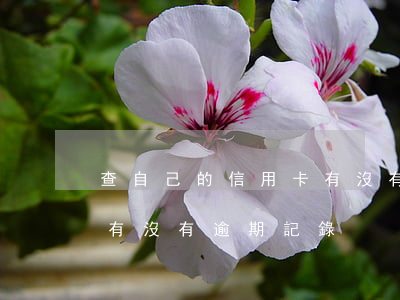 查自己的信用卡有沒有逾期(查自己的信用卡有沒有逾期記錄)