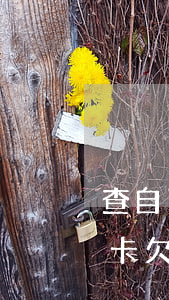查自己的信用卡欠多少(怎么查詢自己的信用卡欠了多少錢)