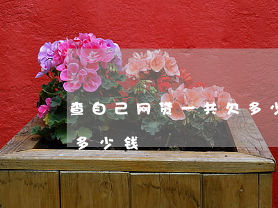 查自己网贷一共欠多少钱(怎么查我网贷欠了多少钱)