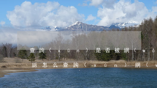查詢(xún)是否被網(wǎng)貸起訴(怎么查詢(xún)網(wǎng)貸是否被起訴)